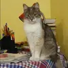 Отзыв от Ксения Вишневская